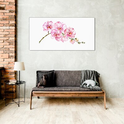 Glasbild Rosa Orchideen auf weißem Hintergrund
