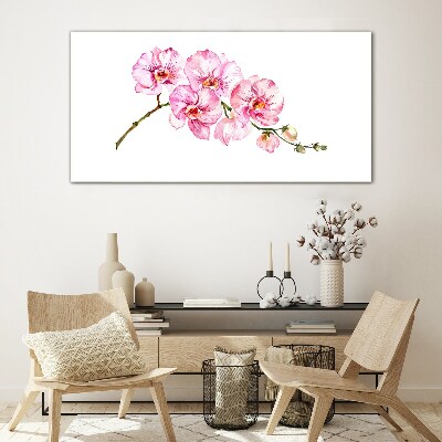 Glasbild Rosa Orchideen auf weißem Hintergrund