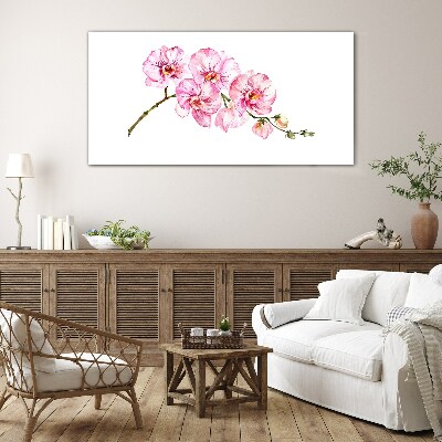 Glasbild Rosa Orchideen auf weißem Hintergrund