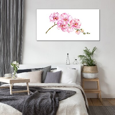Glasbild Rosa Orchideen auf weißem Hintergrund