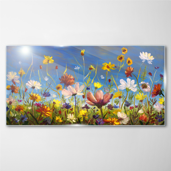 Bild auf glas drucken Blumenlandschaft an einem sonnigen Tag