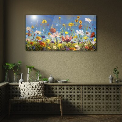 Bild auf glas drucken Blumenlandschaft an einem sonnigen Tag