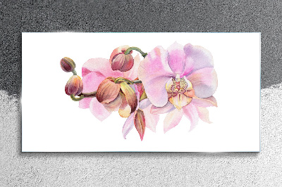 Bild auf glas Aquarell-Orchideenblume
