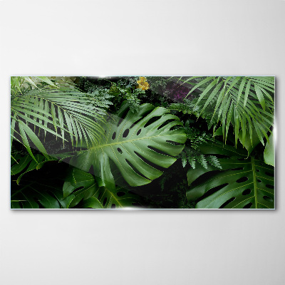 Glasbild Tropisches Grün in den Tiefen der Natur