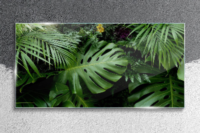 Glasbild Tropisches Grün in den Tiefen der Natur