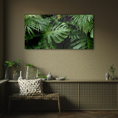 Glasbild Tropisches Grün in den Tiefen der Natur