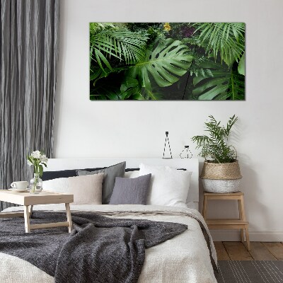 Glasbild Tropisches Grün in den Tiefen der Natur