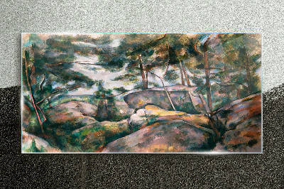 Glasbild Eine steinige Landschaft zwischen Bäumen