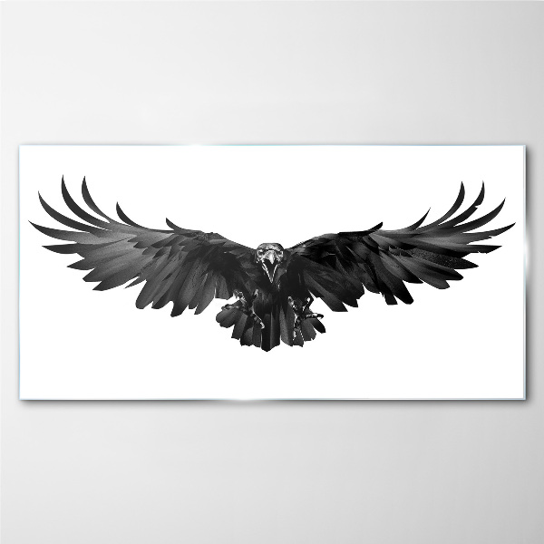 Glasbild Schwarzer Adler im Flug
