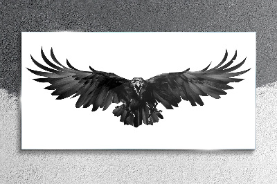 Glasbild Schwarzer Adler im Flug