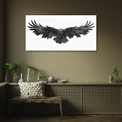Glasbild Schwarzer Adler im Flug