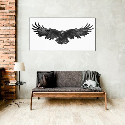 Glasbild Schwarzer Adler im Flug