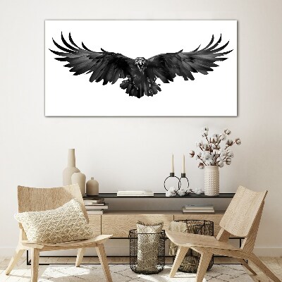 Glasbild Schwarzer Adler im Flug