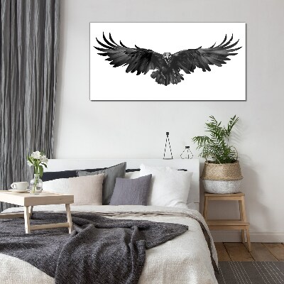 Glasbild Schwarzer Adler im Flug