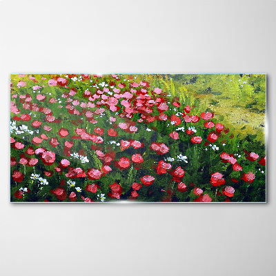 Foto auf glas Eine Wiese voller Mohnblumen