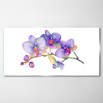 Glasbild Die florale Schönheit der Orchideen