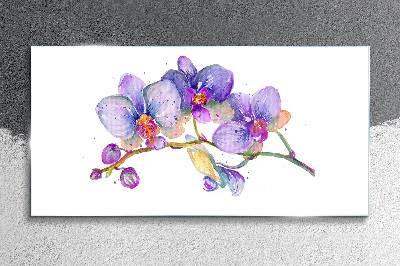 Glasbild Die florale Schönheit der Orchideen