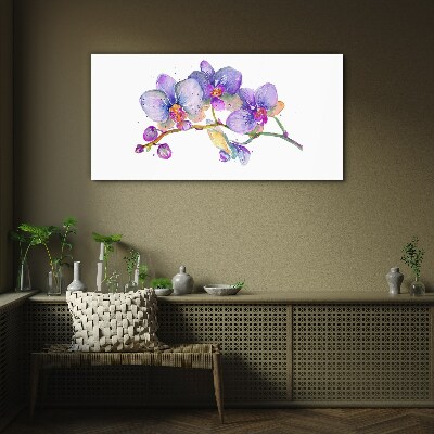 Glasbild Die florale Schönheit der Orchideen