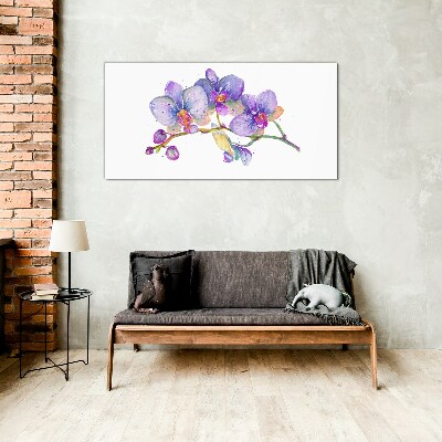 Glasbild Die florale Schönheit der Orchideen