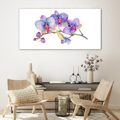 Glasbild Die florale Schönheit der Orchideen