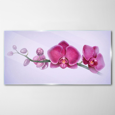 Glasbild Aquarellblumen-Orchideenzweig