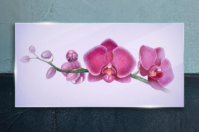 Glasbild Aquarellblumen-Orchideenzweig