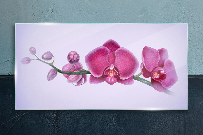 Glasbild Orchideen in zarten Rosatönen