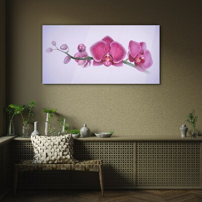 Glasbild Orchideen in zarten Rosatönen