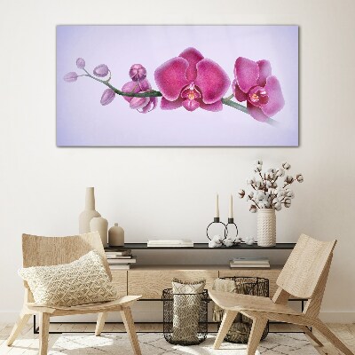 Glasbild Aquarellblumen-Orchideenzweig