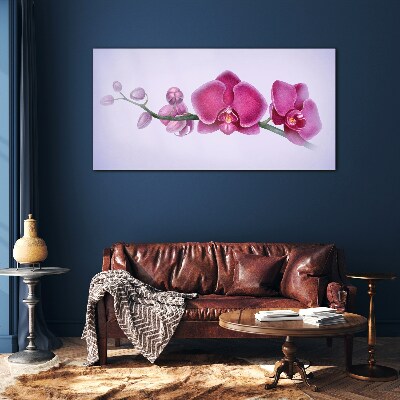 Glasbild Orchideen in zarten Rosatönen