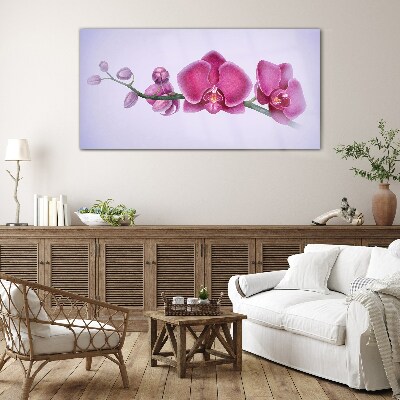 Glasbild Aquarellblumen-Orchideenzweig