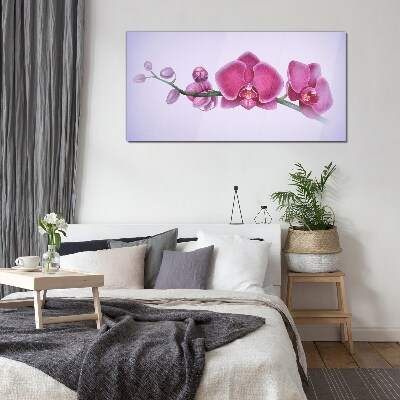 Glasbild Aquarellblumen-Orchideenzweig