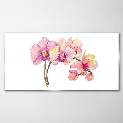 Glasbild Die florale Schönheit der Orchideen