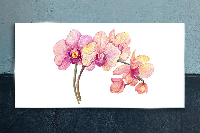 Glasbild Die florale Schönheit der Orchideen