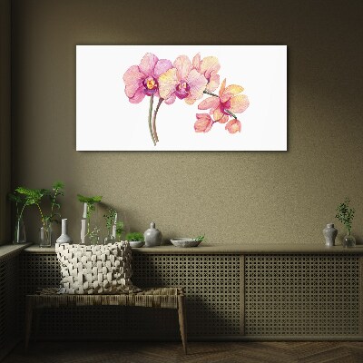 Glasbild Die florale Schönheit der Orchideen