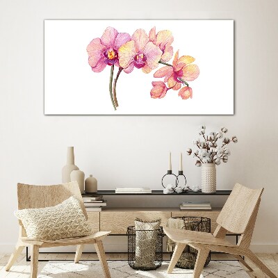 Glasbild Die florale Schönheit der Orchideen