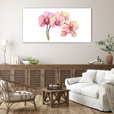 Glasbild Die florale Schönheit der Orchideen
