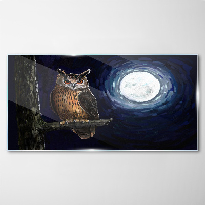 Glasbild Eule im Mondlicht