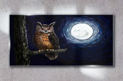 Glasbild Eule im Mondlicht