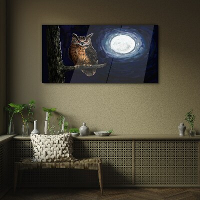 Glasbild Eule im Mondlicht