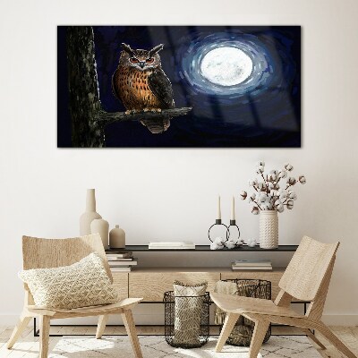 Glasbild Eule im Mondlicht