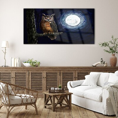 Glasbild Eule im Mondlicht