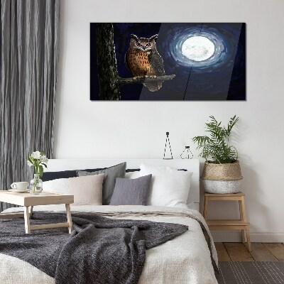 Glasbild Eule im Mondlicht