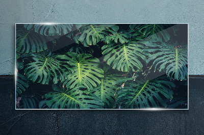 Foto auf glas Tropisches Grün in Monstera-Blättern