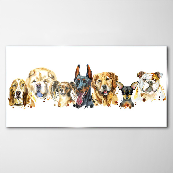 Glasbild Hundefreundschaften in Farben