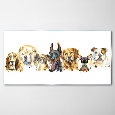 Glasbild Hundefreundschaften in Farben
