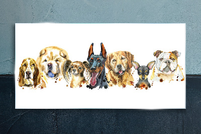 Glasbild Hundefreundschaften in Farben