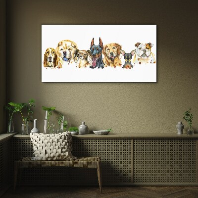 Glasbild Hundefreundschaften in Farben