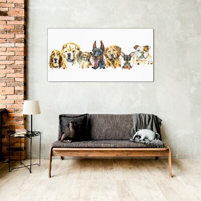 Glasbild Hundefreundschaften in Farben