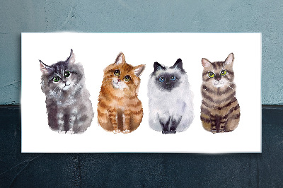 Glasbild Katzen in verschiedenen Schattierungen